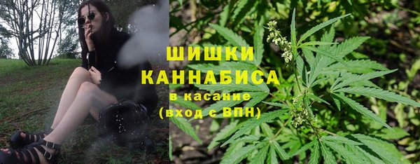 ECSTASY Белокуриха