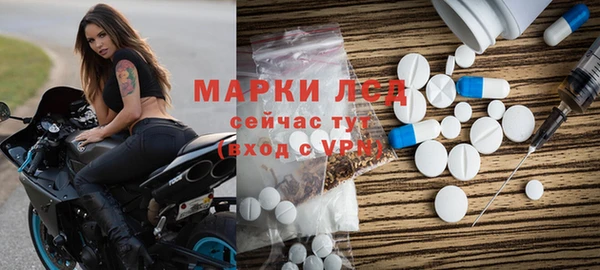 ПСИЛОЦИБИНОВЫЕ ГРИБЫ Заволжье
